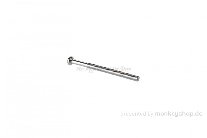 Honda Schraube Kegelkopf Kreuzschlitz 4x55 f. Rücklichtglas CY50 Gorilla Monkey 6V