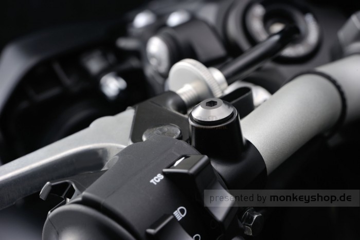 Daytona Abdeckschraube Alu CNC titanfarben eloxiert f. Spiegelgewinde M10 x P1.25 Rechtsgewinde