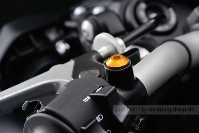 Daytona Abdeckschraube Alu CNC gold eloxiert f. Spiegelgewinde M10 x P1.25 Rechtsgewinde