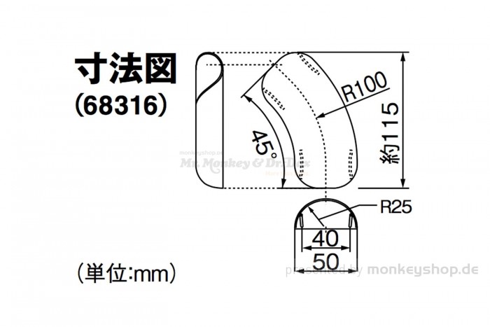 Daytona Hitzeschutzblech Edelstahl poliert Bogen 45° geschlossen