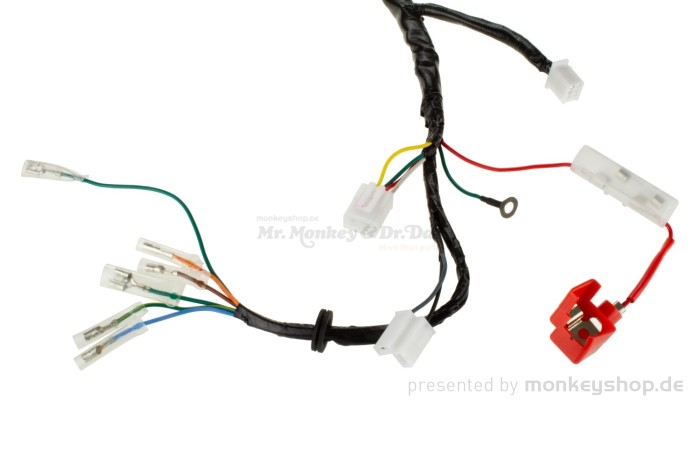 Kabelbaum f. Honda Dax 12 Volt