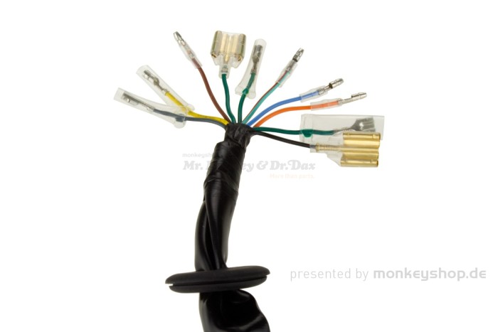 Kabelbaum f. Honda Dax 12 Volt