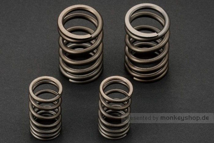 Daytona Ventilfedern Satz f. Dyna Head