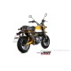 MIVV X-M1 Titan Auspuffanlage f. Monkey 125 2018-2024 mit ABE