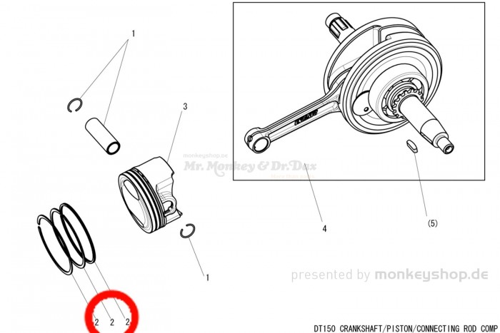 Daytona Kolbenringe ø57 f. ANIMA 150 2V SOHC