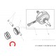 Daytona Kolbenringe ø54 f. ANIMA 125 2V SOHC