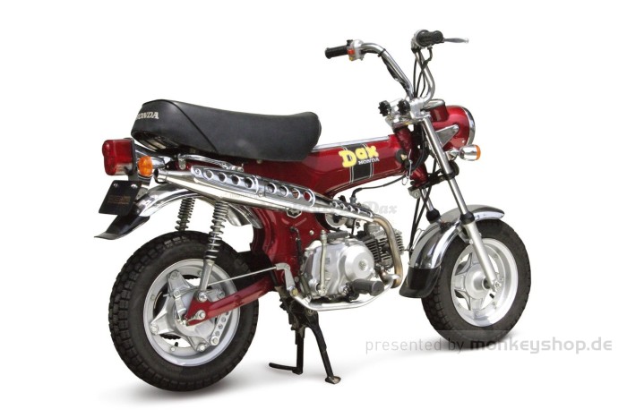 Takegawa D-Style Sport Auspuffanlage f. Dax 12V