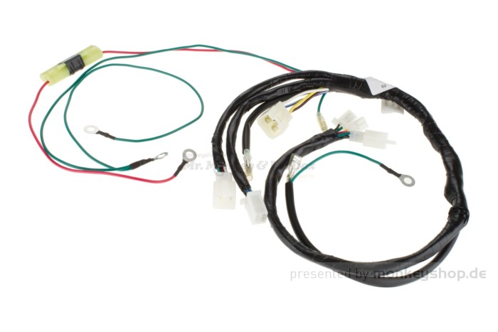 Daytona Kabelbaum f. ANIMA 4V 190FE