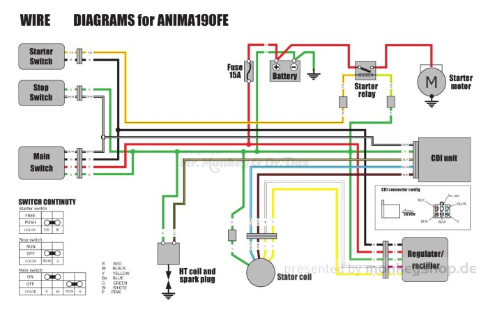 Daytona Kabelbaum f. ANIMA 4V 190FE