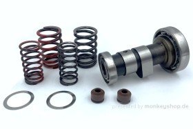 Daytona Tuning Nockenwelle mit Ventilfedern f. Daytona 2V 125cc + ZongShen 2V W125-G Fiddy Racer
