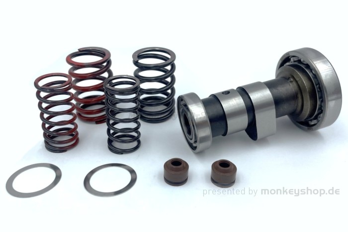 Daytona Tuning Nockenwelle mit Ventilfedern f. Daytona 2V 125cc + ZongShen 2V W125-G Fiddy Racer
