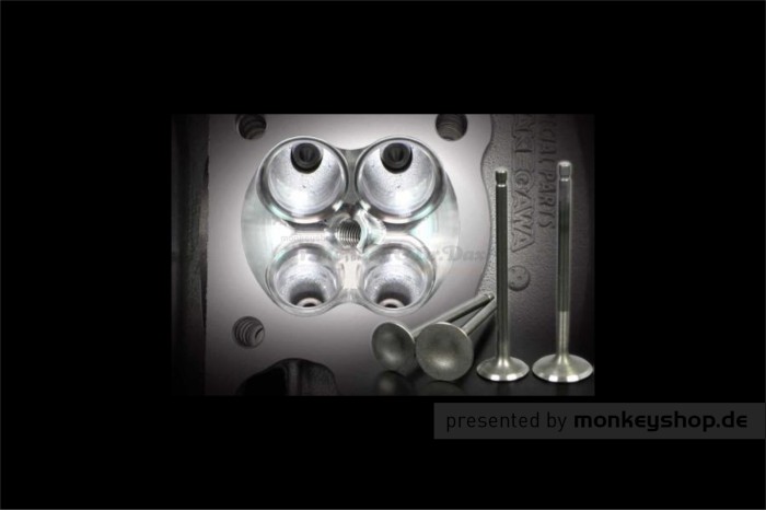 Takegawa SuperHead+R 4-Ventil Zylinderkopf + 145cc Bore Up Zylinder Kit + N-10 Nockenwelle f. Monkey 125 JB03 + MSX 125 JC92
