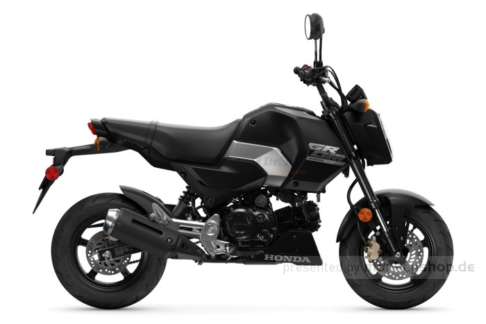 Honda Unterfahrschutz Kunststoff schwarz f. MSX 125 JC92