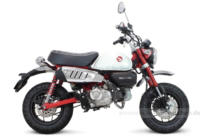 Takegawa Auspuffanlage "Normal Type" f. Monkey 125