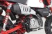 Takegawa Auspuffanlage "Normal Type" f. Monkey 125