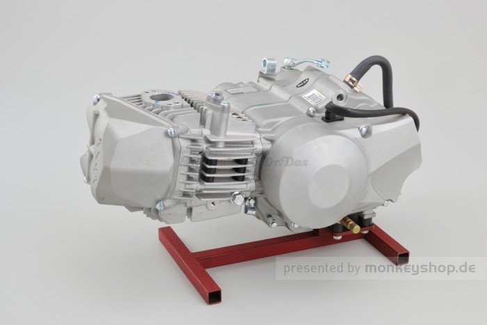 Daytona ANIMA 190SZ 4V 5-Gang Tuning Motor Kurzhub 23 PS mit Licht