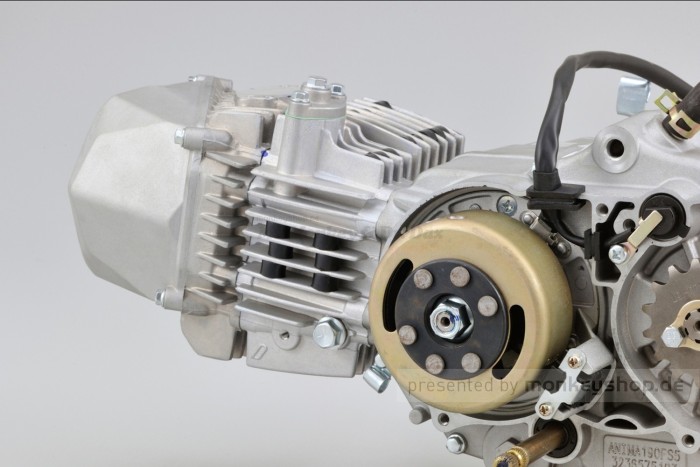 Daytona ANIMA 190SZ 4V 5-Gang Tuning Motor Kurzhub 23 PS mit Licht
