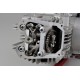 Daytona ANIMA 190SZ 4V 5-Gang Tuning Motor Kurzhub 23 PS mit Licht
