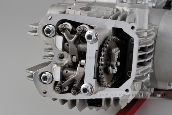 Daytona ANIMA 190SZ 4V 5-Gang Tuning Motor Kurzhub 23 PS mit Licht