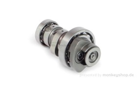 Takegawa N10 Nockenwelle f. Superhead 4V+R Monkey 125 JB03 JB05 + Dax 125 JB04 JB06 + MSX JC92