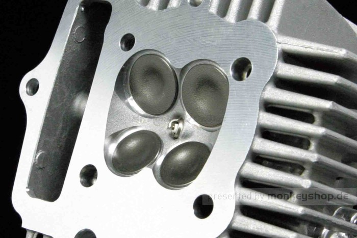 Takegawa 138cc Tuning Motor 21,5PS 5-Gang TAF Touring 4-Ventil SuperHead +R