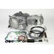 Takegawa 124cc Tuning Motor 19,5PS 5-Gang TAF Touring 4-Ventil SuperHead +R
