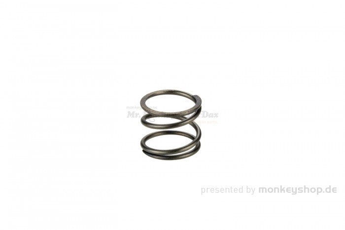 Daytona Feder Ölfilter f. ANIMA 4V