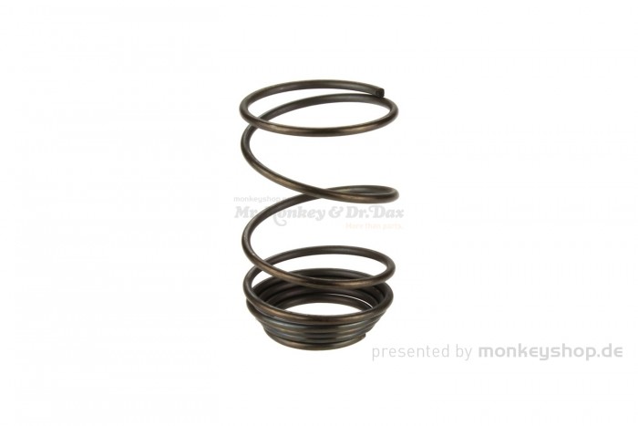 Daytona Feder Ölsieb f. ANIMA 4V