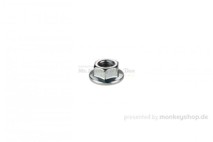 Daytona Mutter Zylinderkopf M8 f. ANIMA 4V