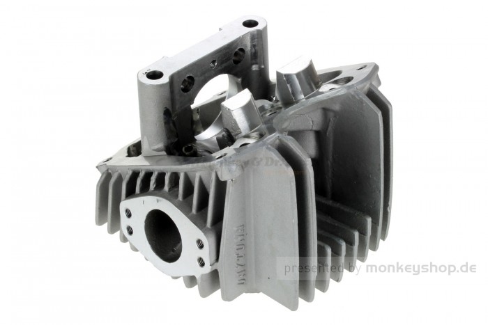 Daytona Zylinderkopf f. Anima 4V