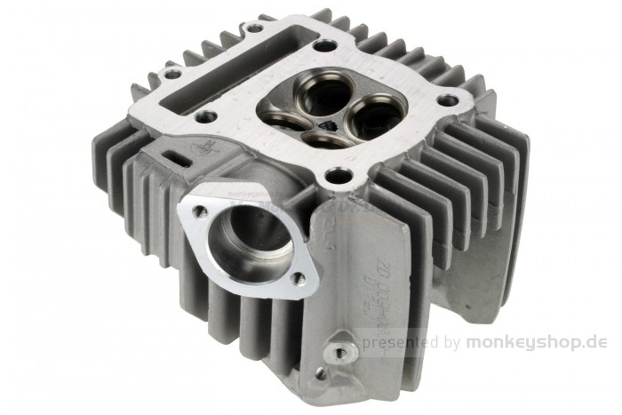 Daytona Zylinderkopf f. Anima 4V