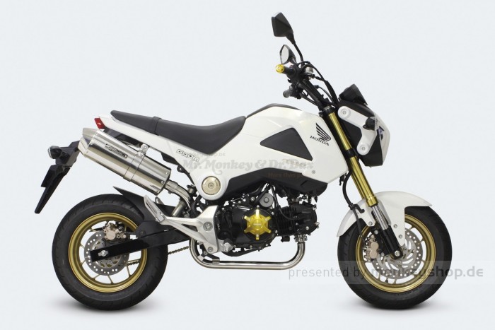 Takegawa Edelstahl Auspuffanlage "Corn Oval" mit Krümmer f. MSX 125