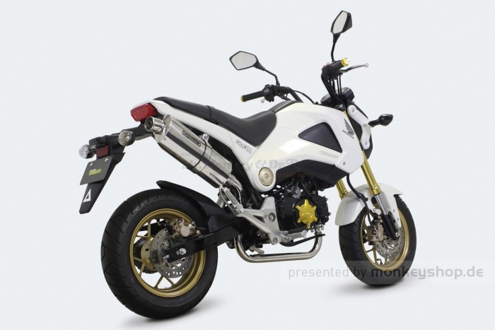 Takegawa Edelstahl Auspuffanlage "Power Silent Oval" f. MSX 125