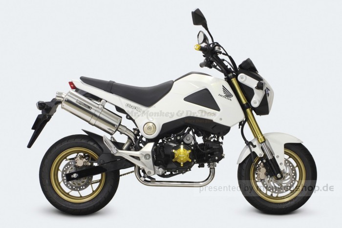 Takegawa Edelstahl Auspuffanlage "Power Silent Oval" f. MSX 125