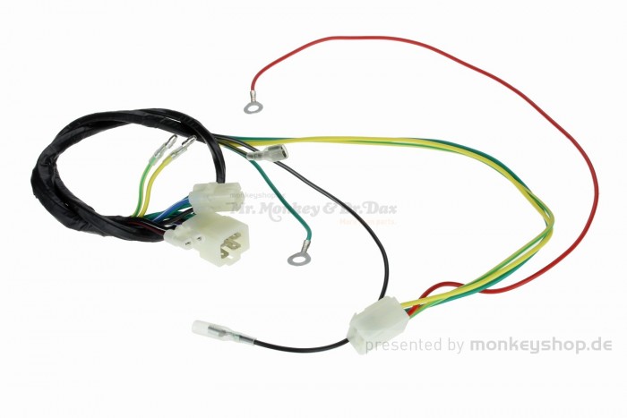 Daytona Motor Kabelbaum mit Licht f. Anima 4V