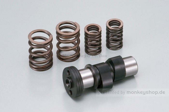 Daytona scharfe Nockenwelle + Ventilfedern f. CY50 XL50 CB50
