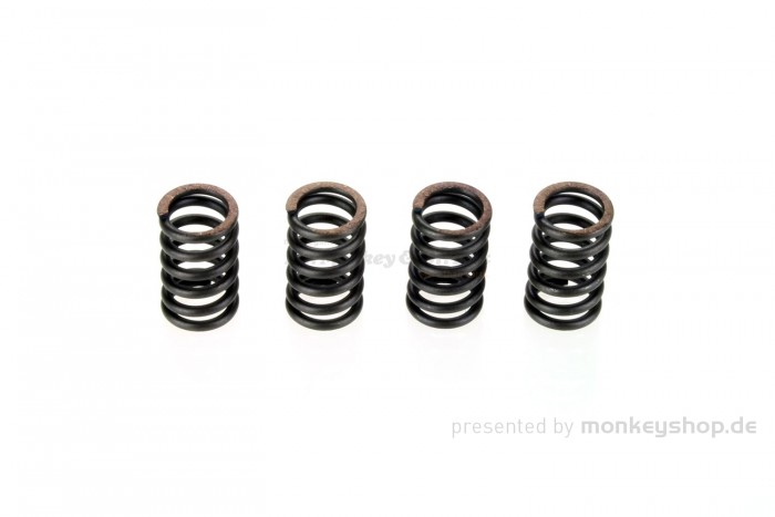 EBC verstärkte Kupplungsfedern f. CB CY XL 50