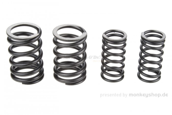 Daytona Ventilfeder Set f. Daytona 2V