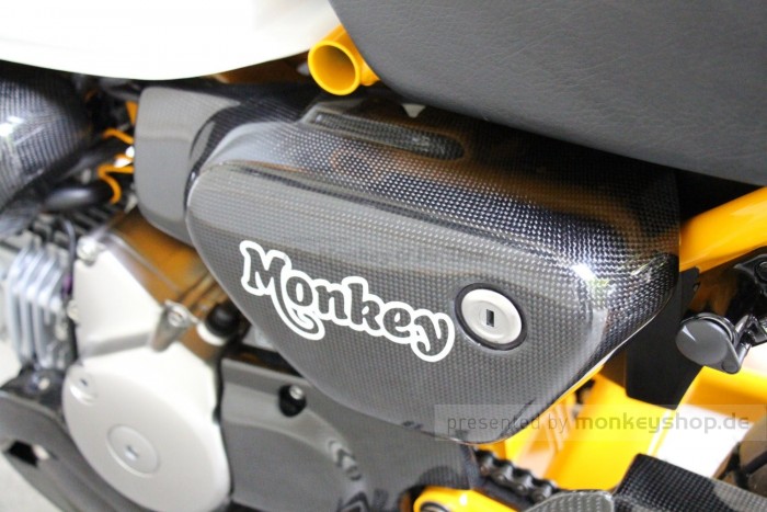 TYGA Carbon Seitendeckel links f. Monkey 125