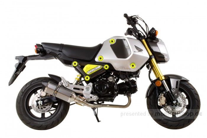 Auspuffanlage Aluminium silber untenliegend f. MSX 125 GROM JC92
