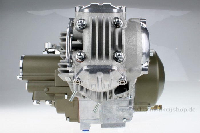Takegawa 124 cc Tuning Motor 4V 19,5 PS 5-Gang TAF Touring ohne Zündung