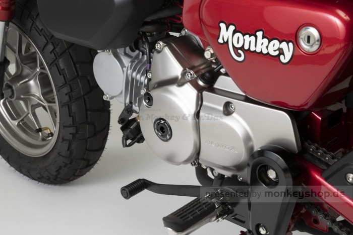 ZETA Aluminium CNC Zündungsdeckel Schrauben Set schwarz eloxiert f. Super Cub 125 + MSX 125 + Monkey 125 + Dax 125