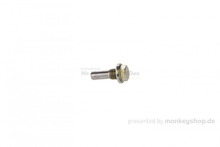 Honda Schraube Führungsrad Rolle Steuerkette Zylinder f. Monkey 50 + Gorilla + Dax 50 70 + Chaly + SS50