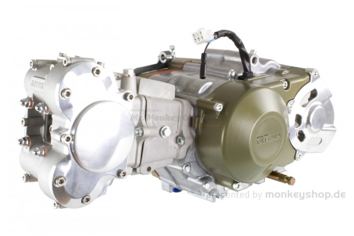 Takegawa / Daytona 124 cc Tuning Motor 4V mit DOHC Zylinderkopf 19,5 PS 5-Gang TAF Touring