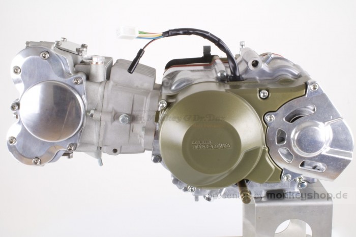 Takegawa / Daytona 124 cc Tuning Motor 4V mit DOHC Zylinderkopf 19,5 PS 5-Gang TAF Touring