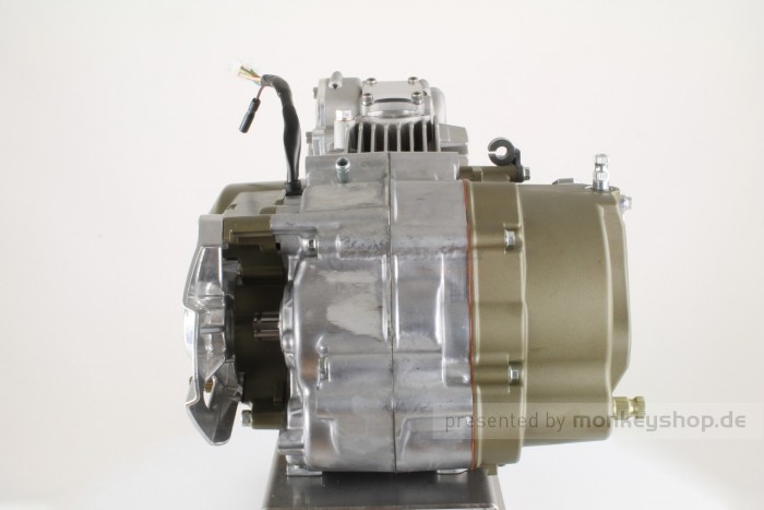 Takegawa / Daytona 124 cc Tuning Motor 4V mit DOHC Zylinderkopf 19,5 PS 5-Gang TAF Touring