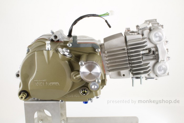 Takegawa / Daytona 124 cc Tuning Motor 4V mit DOHC Zylinderkopf 19,5 PS 5-Gang TAF Touring
