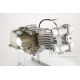Takegawa / Daytona 124 cc Tuning Motor 4V mit DOHC Zylinderkopf 19,5 PS 5-Gang TAF Touring
