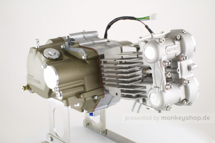 Takegawa / Daytona 124 cc Tuning Motor 4V mit DOHC Zylinderkopf 19,5 PS 5-Gang TAF Touring