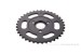 Kettenrad 35T schwarz Monkey Gorilla hinten